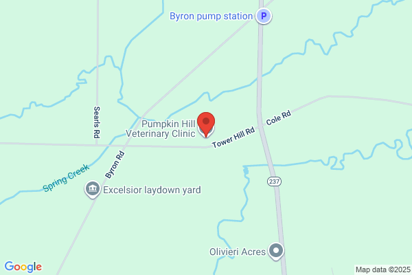 Pumpkin Hill Veterinary