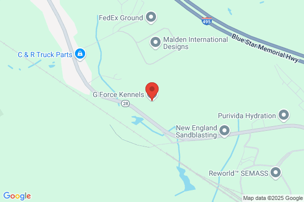 G Force Kennels