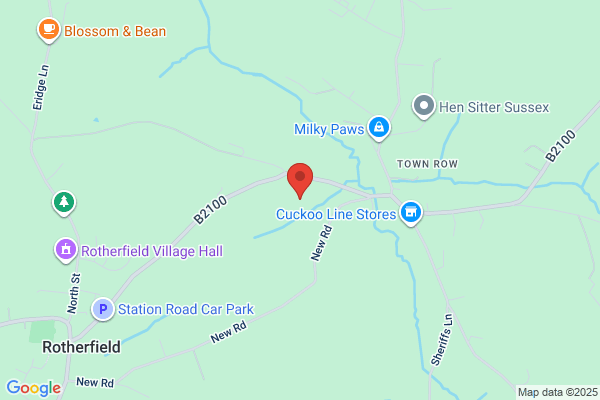 David Newman, DO