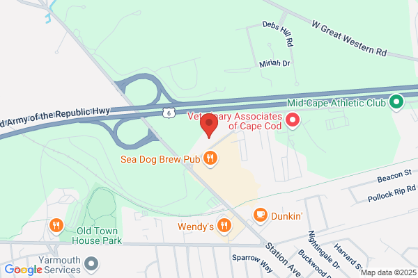 White's Path Market