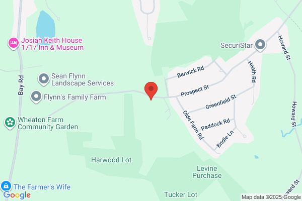 Boss Services, Inc.
