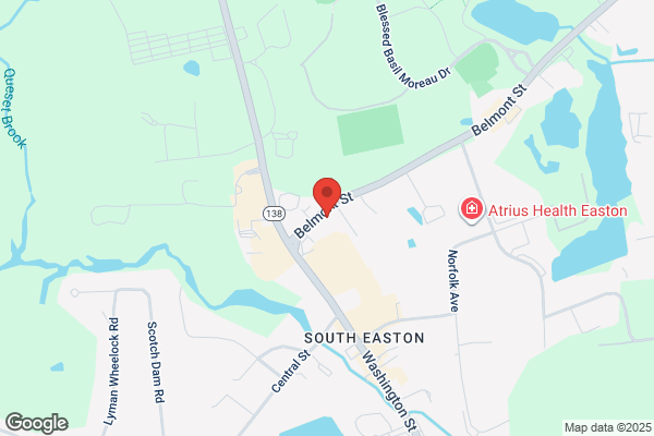 Purple Statice Inc