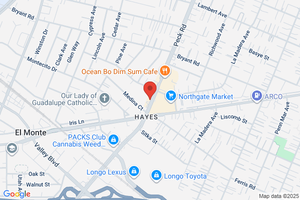 Gary's Auto Electric