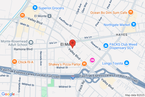 AutoZone Auto Parts