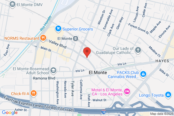 Alta Loma Insurance Services