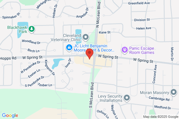 Spring View Dental