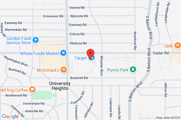 Target Optical