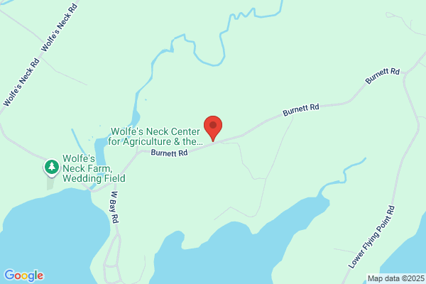 Recompence Shore Campsites