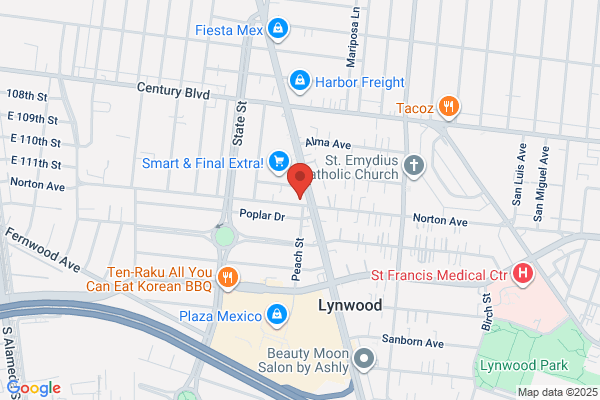 AutoZone Auto Parts