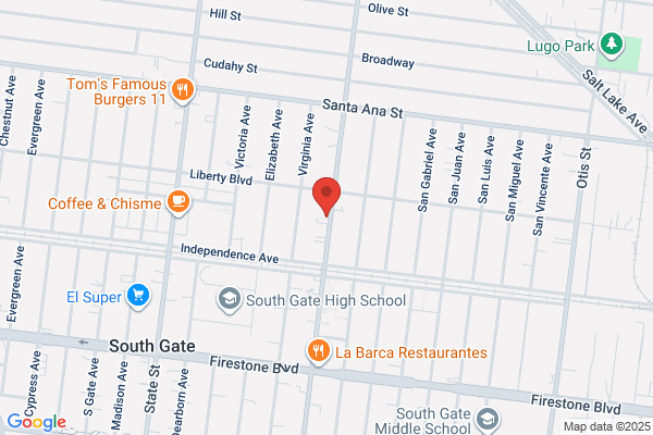 SALVAGEDATA Recovery Services