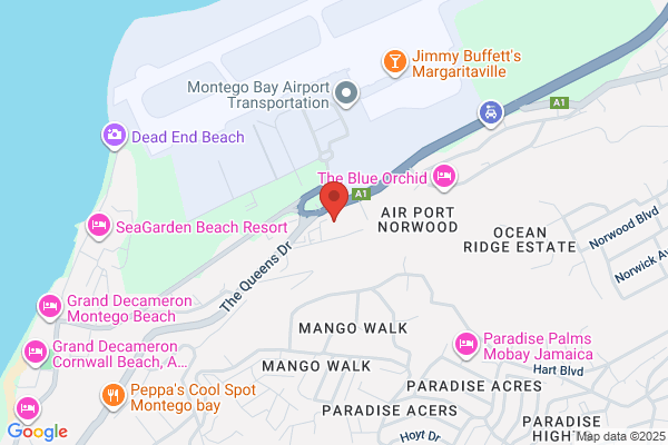 Tropical Tours