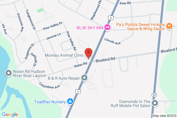 Moreau Animal Clinic