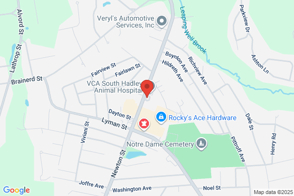 Byte Federal Bitcoin ATM (Stop N Go)