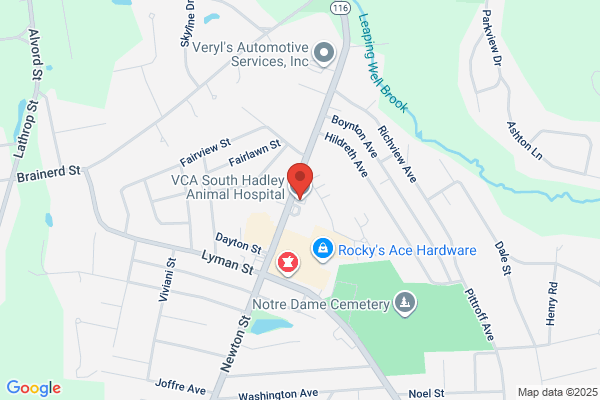 VCA South Hadley Animal Hospital