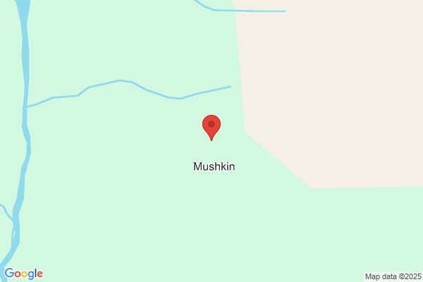 Mushkin Steven
