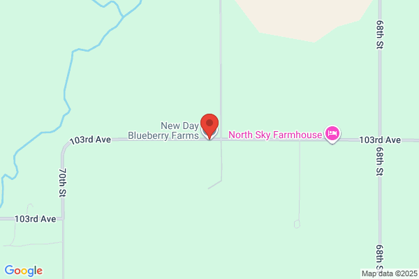 New Day Blueberry Farms