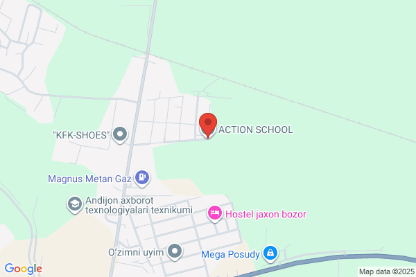 Action K-9 Academy