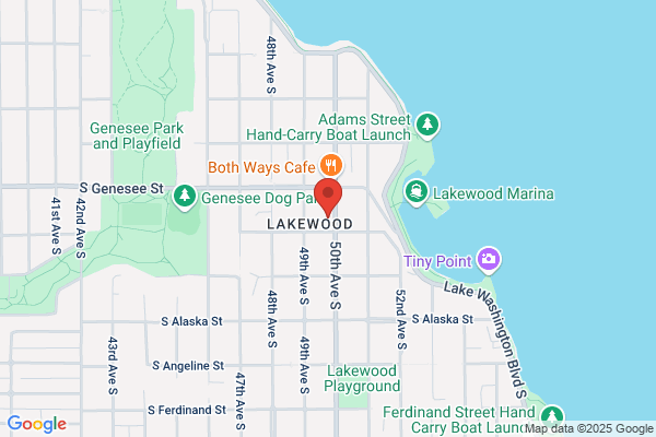Rainier Affordable Moss Cleaning