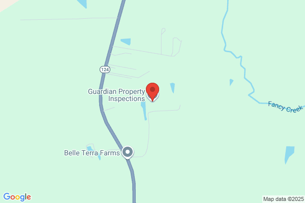 Guardian Inspection Service