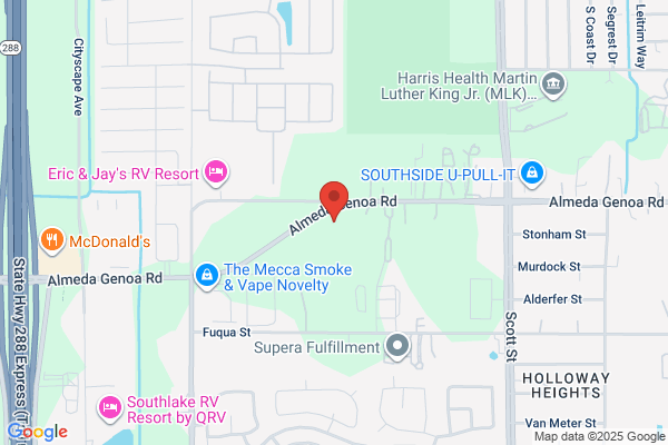 American Auto Enterprises Inc