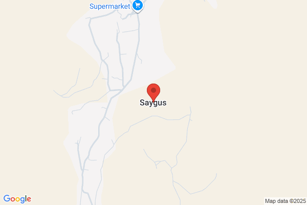 Saygus