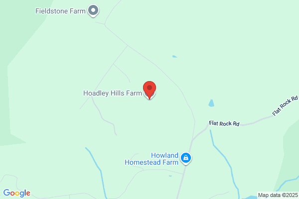 Hugh A Hill