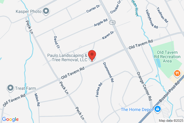 Mp Landscape Construction and Tree Removal Llc