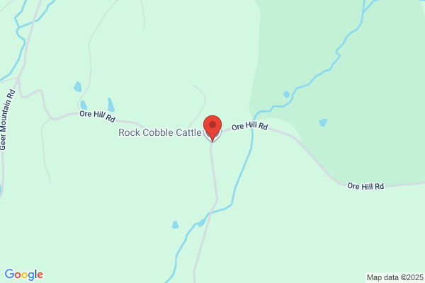 Rock Cobble Cattle Llc