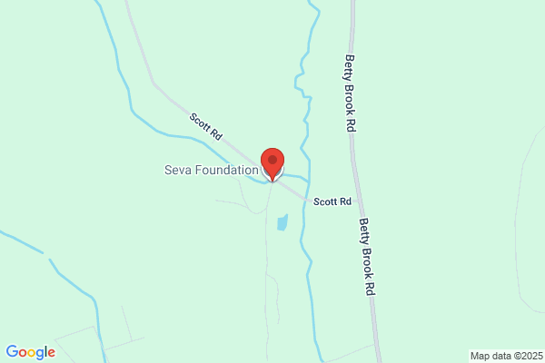 Seva Foundation Inc