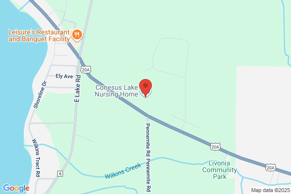 Conesus Lake Nursing Home