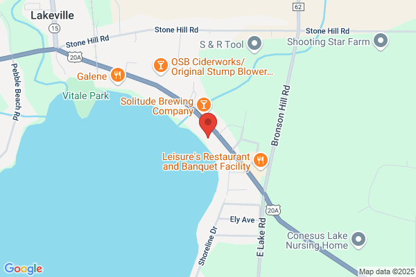 Conesus Lake Rentals