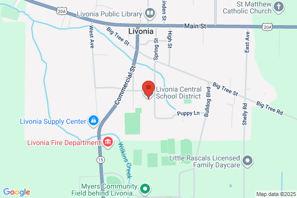 Livonia Central School District, Primary School