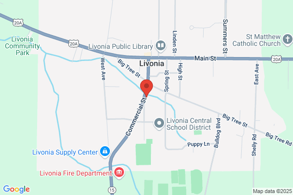 Livonia Town of, Assessors