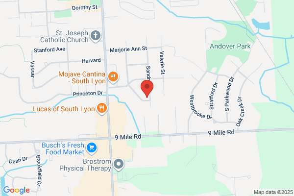 South Lyon Plumbing