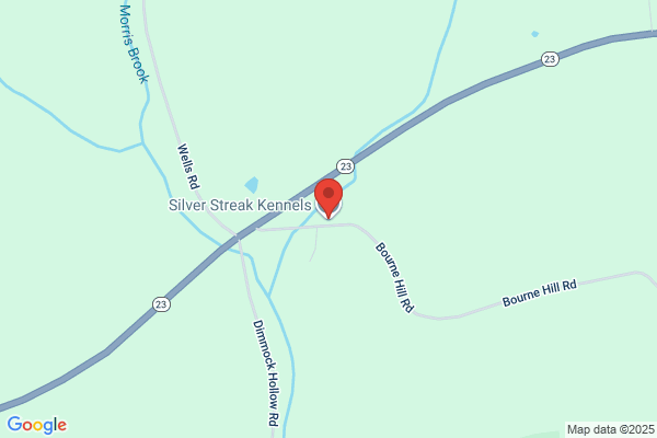 Silver Streak Kennels