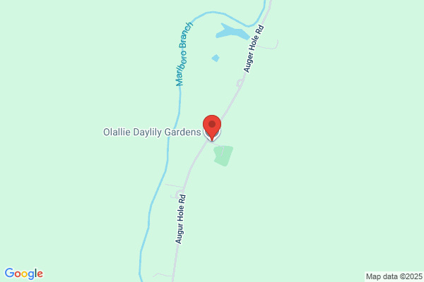 Olallie Daylily Gardens
