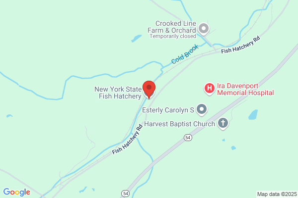 New York State Fish Hatchery