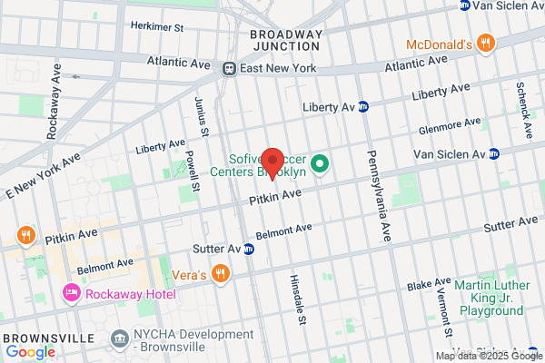 Empire State Limousines Llc