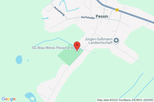 Pessin Tax Svce
