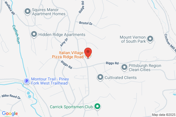 Italian Village Pizza