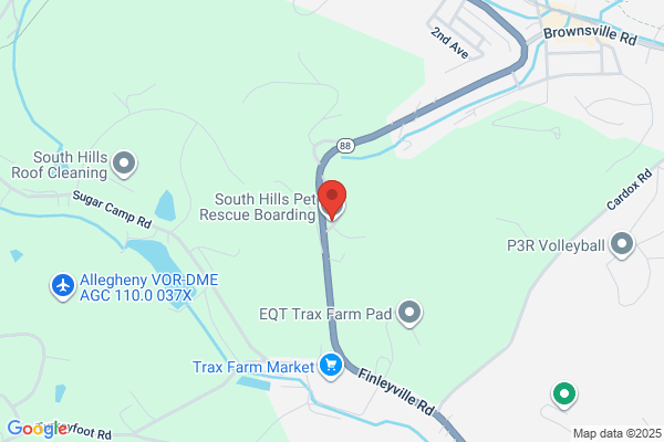 South Hills Pet Resort