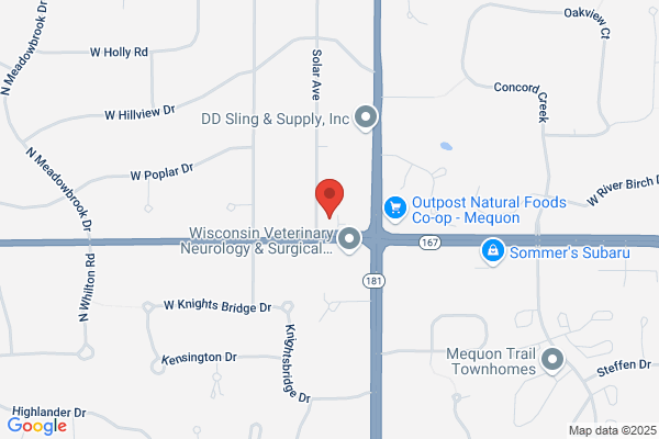 Law Offices of David Lee Watson