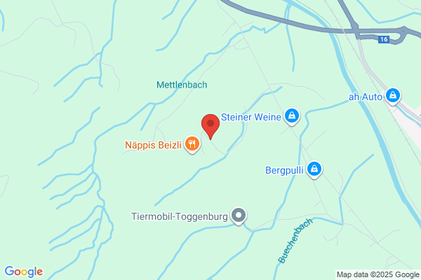 Nappi's