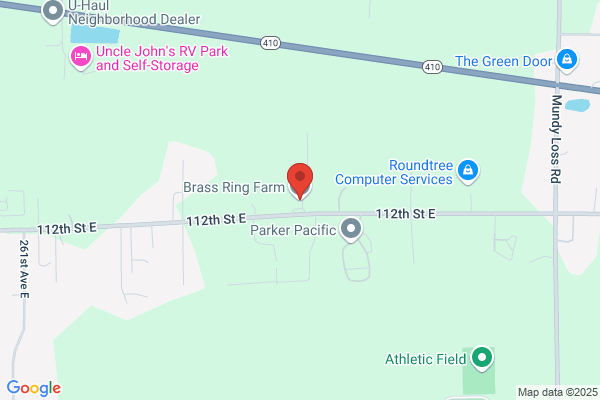 Brass Ring Farm