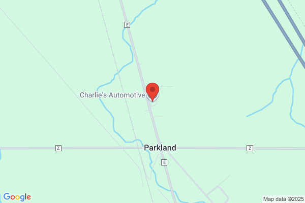 Charlies Automotive Inc