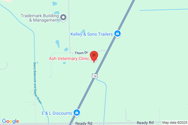 Ash Veterinary Clinic