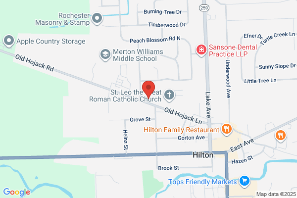 Hilton Fire Brick