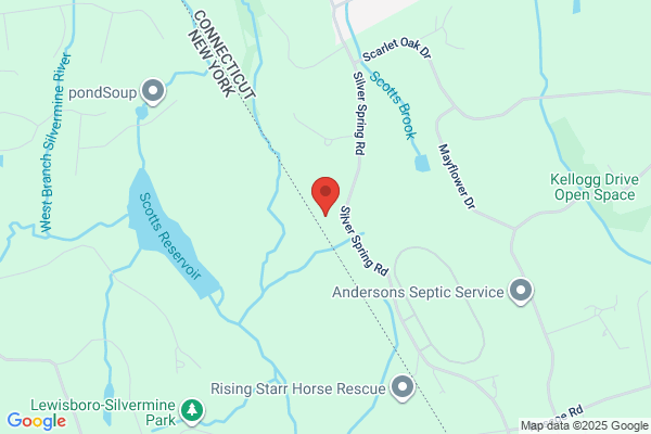 Nyconn Horse Transport
