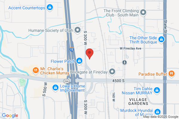 European & Japanese Auto Repair