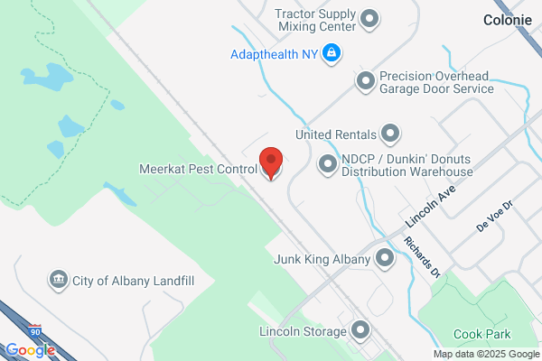 Catseye Pest Control - Albany, NY